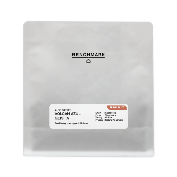 Volcan Azul Geisha