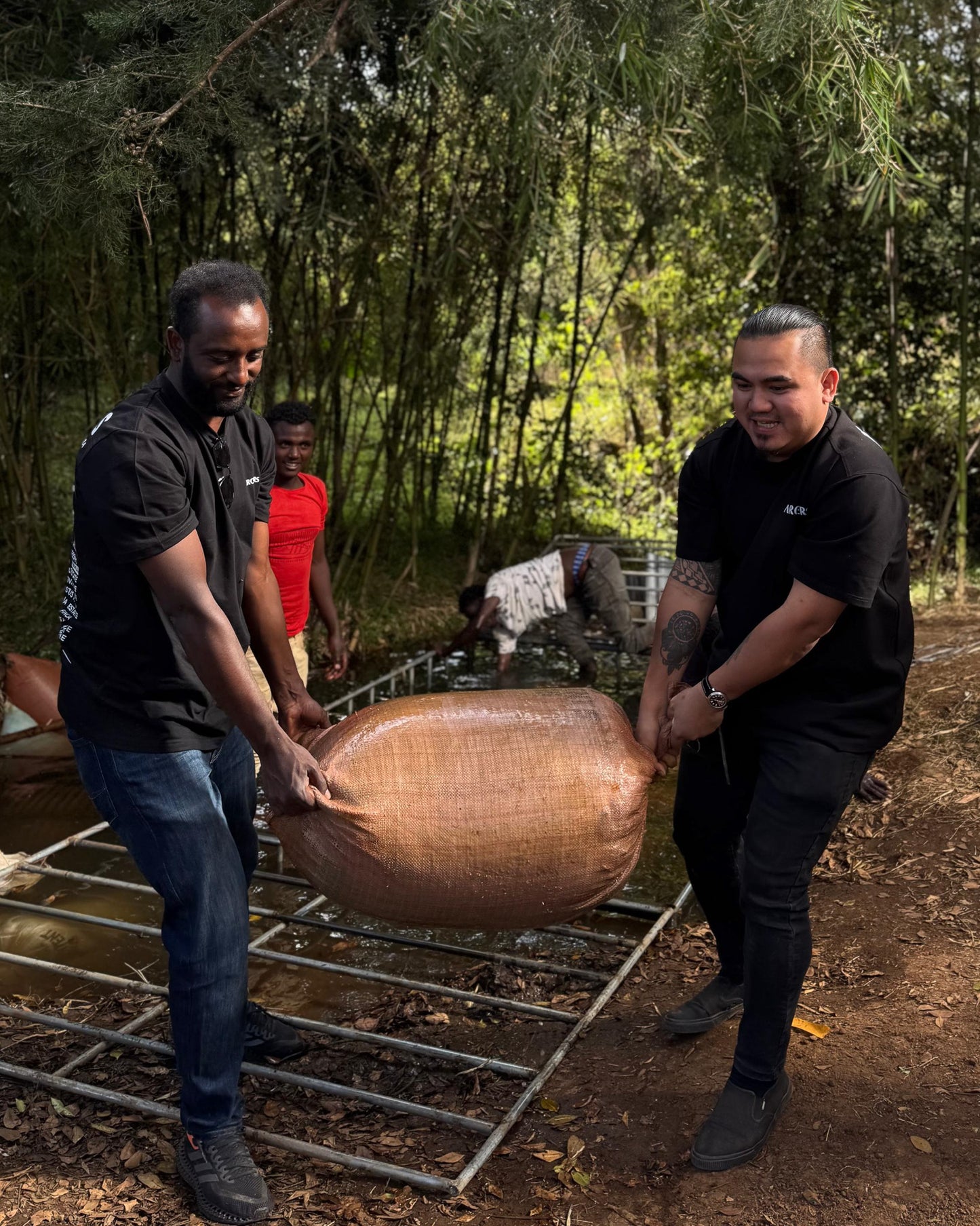 Elto Coffee - Cold fermentation Natural