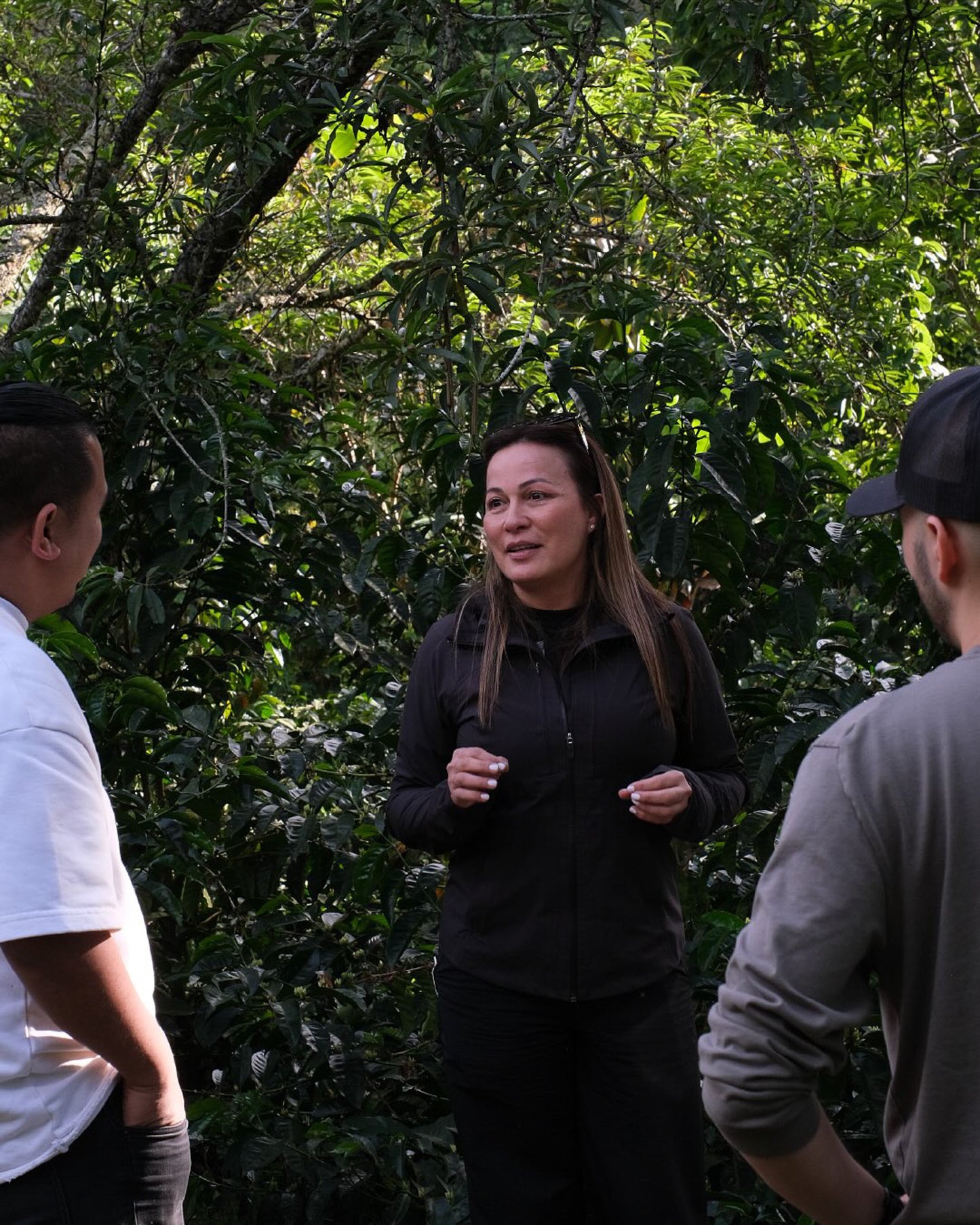 Finca Los Cenizos - Geisha Natural Lot 146