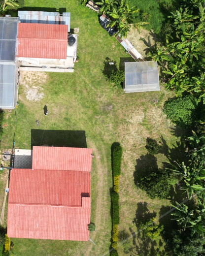 Finca El Porvenir Honey DRD
