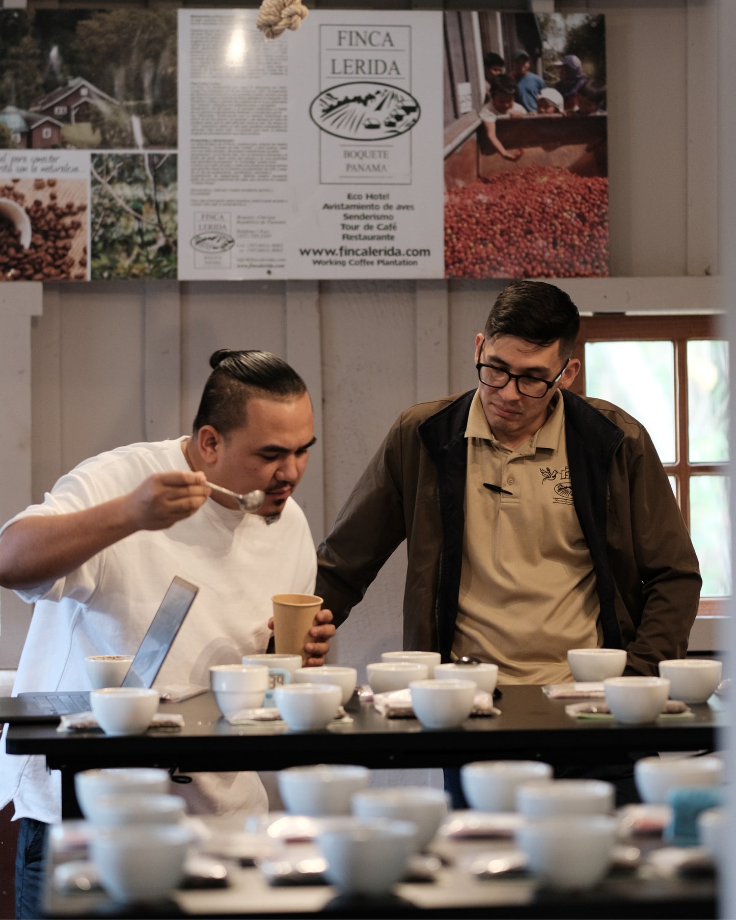 Lerida Coffee Estate GN Lot 0782