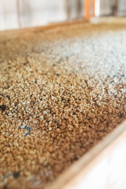 Elto Elora Mosto Ferment Honey