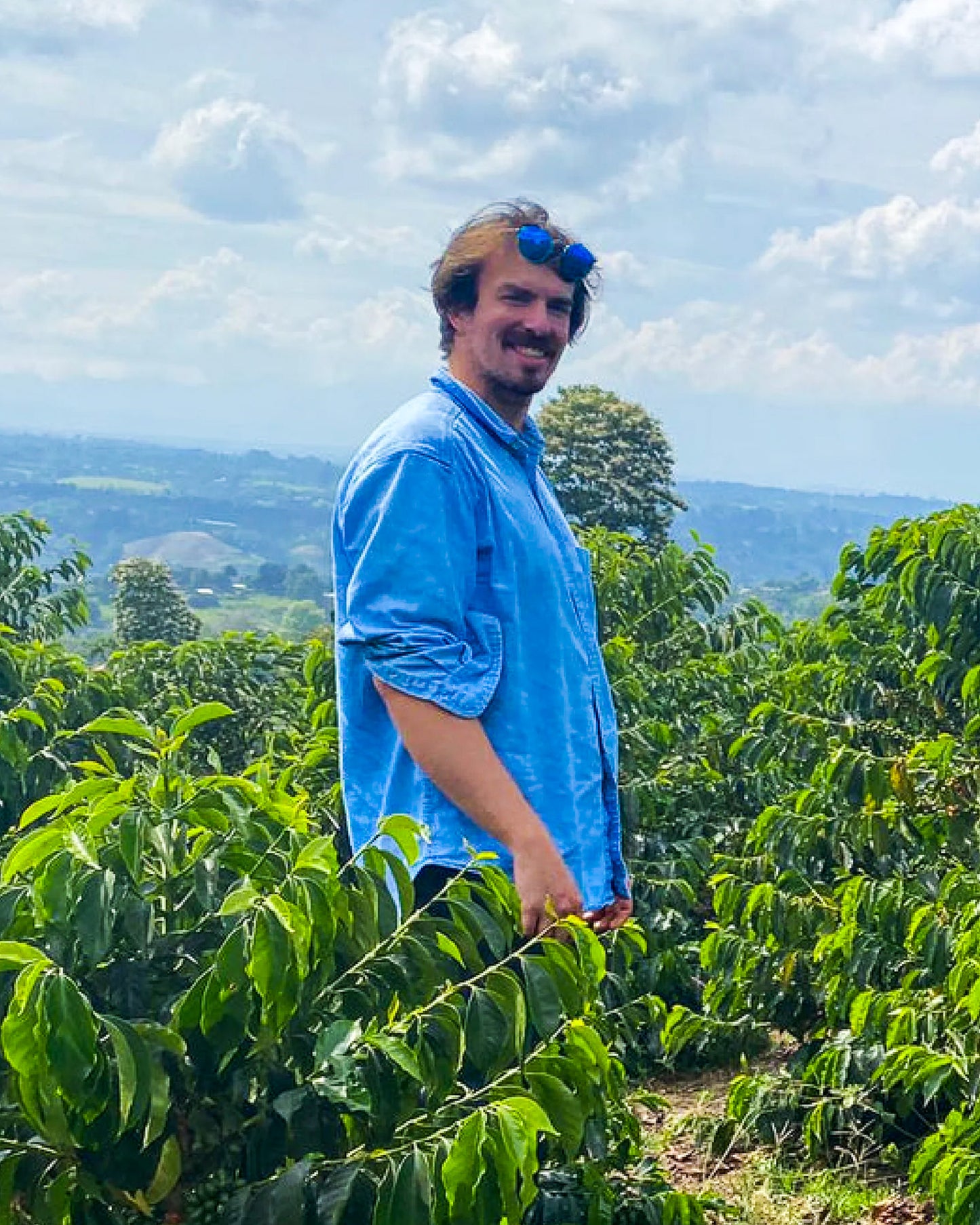 Cota Coffee, Finca Rio Negro Tropical Popsicle
