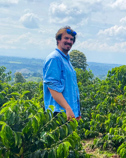 Cota Coffee, Finca Rio Negro Tropical Popsicle