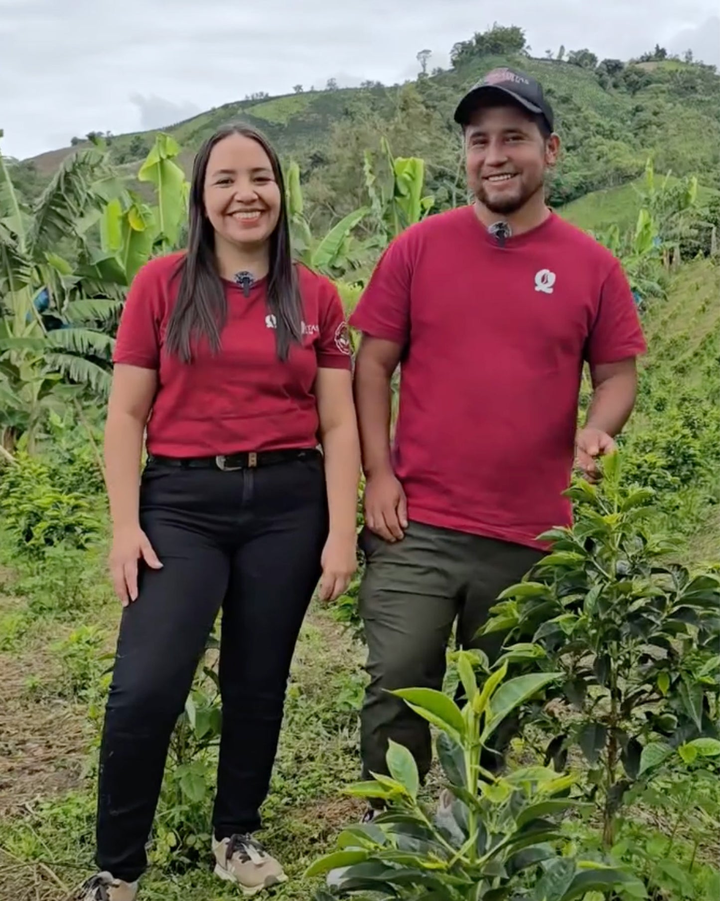 Finca Quebraditas Coconut